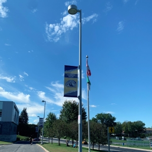 CSDCEO flags