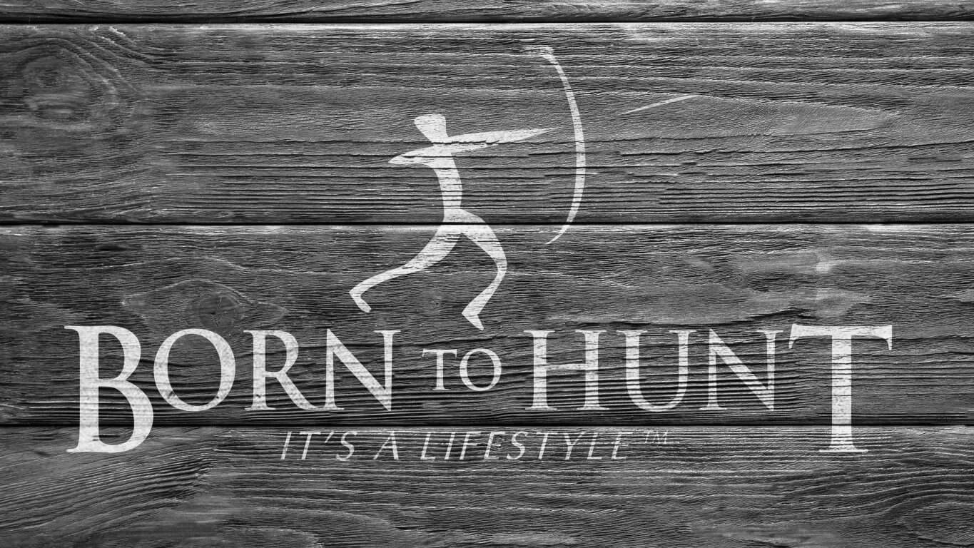 Design Branding 2560 1440 0001 Born to Hunt 1