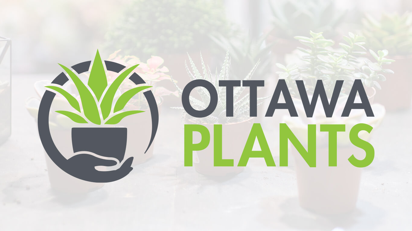 ottawa plants brand