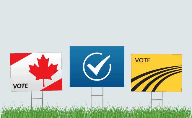 municipal elections animated en